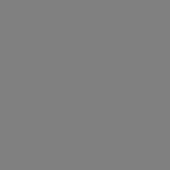 Portrait of Abbas Hooshmand, the host